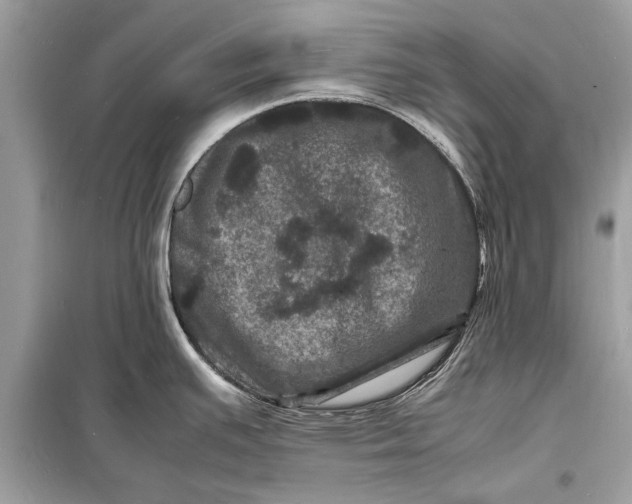 X0000098181391200805081014