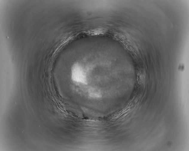 X0000098181393200805081013