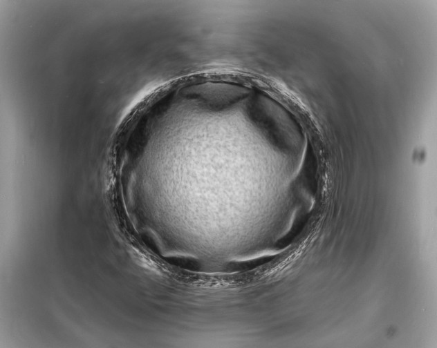 X0000098181400200805081013