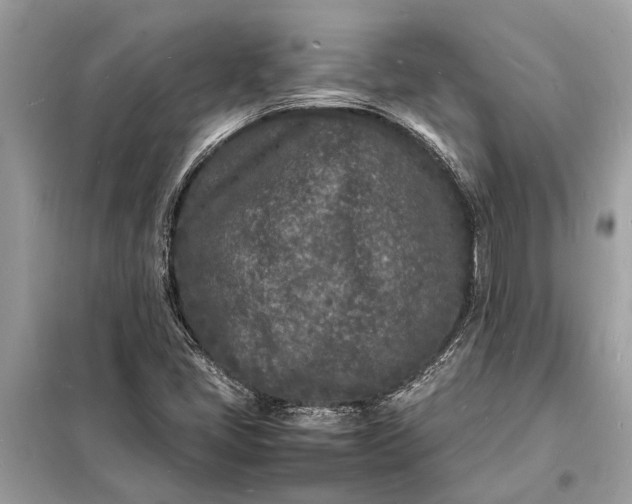 X0000098181405200805081013