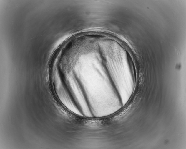 X0000098181406200805081013