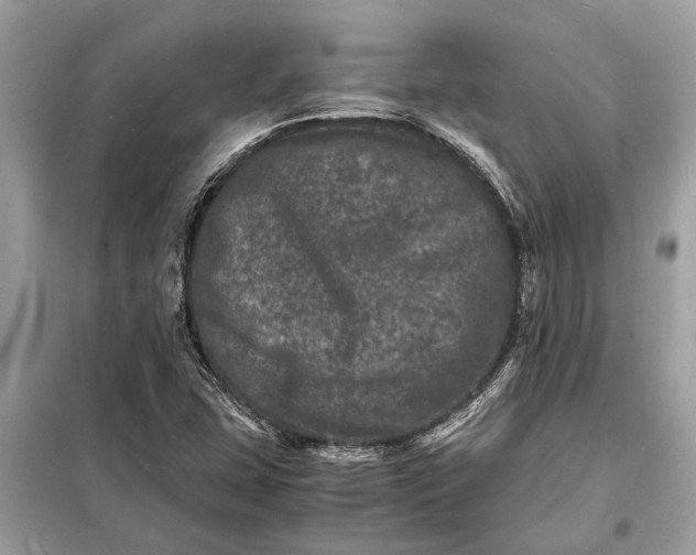 X0000098181407200805081013