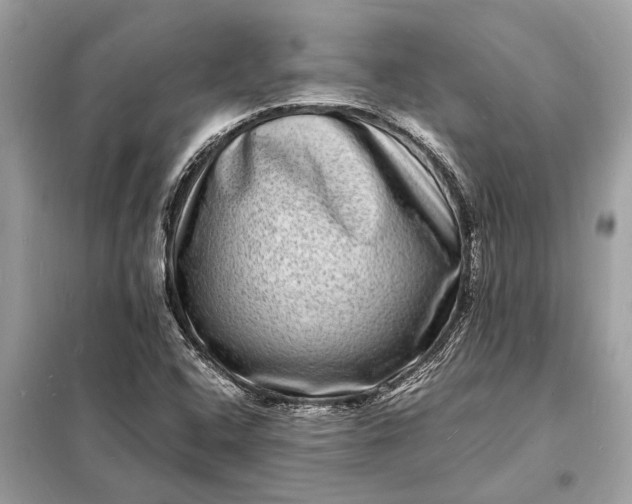 X0000098181408200805081014