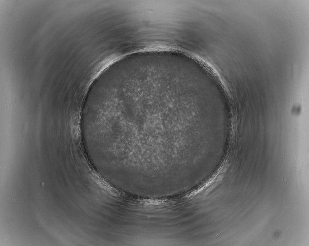 X0000098181409200805081014