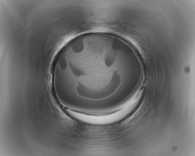 X0000098181414200805081014