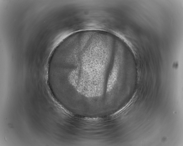 X0000098181415200805081014