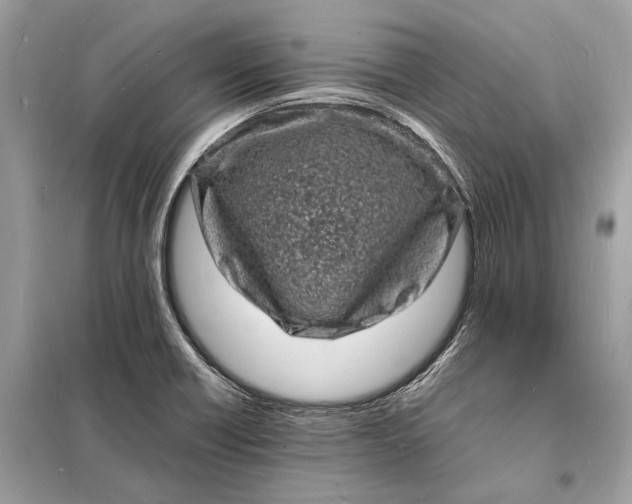 X0000098181418200805081014