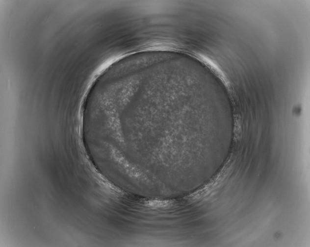 X0000098181419200805081014