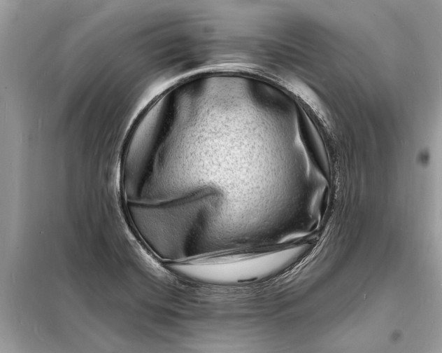 X0000098181420200805081014