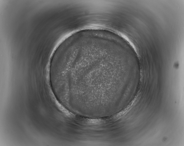 X0000098181421200805081014