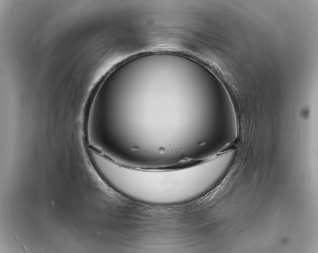 X0000098181422200805081014