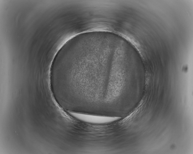 X0000098181423200805081014