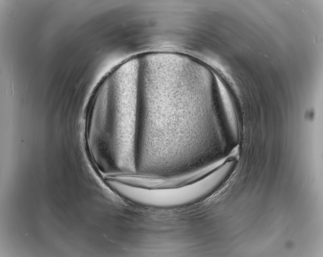 X0000098181424200805081014