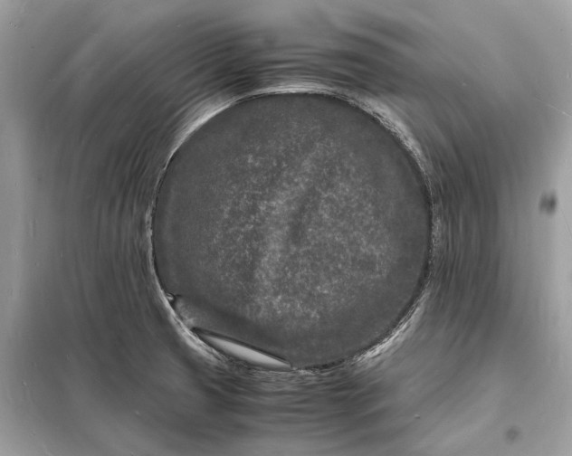 X0000098181425200805081014