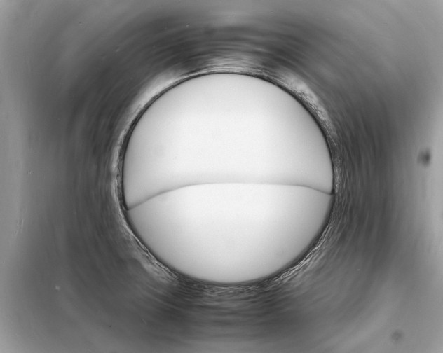 X0000098181427200805081014