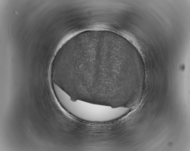 X0000098181429200805081014