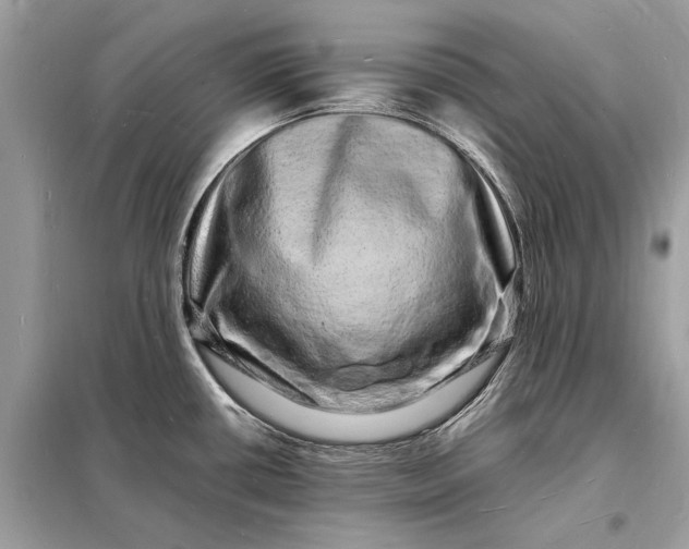 X0000098181434200805081014