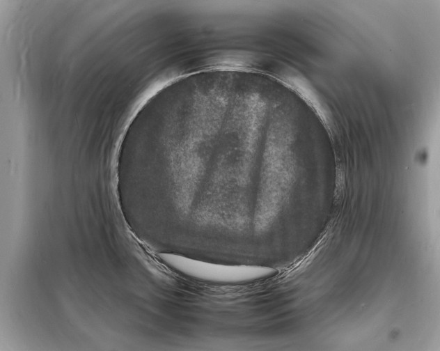 X0000098181435200805081014