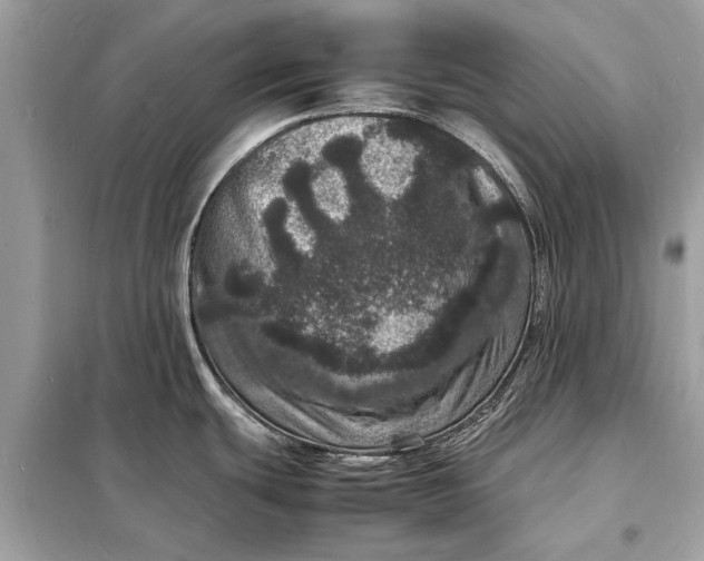 X0000098181439200805081014