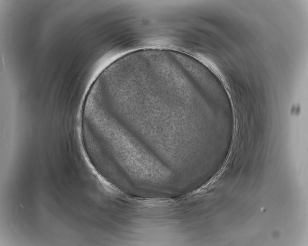 X0000098181440200805081014