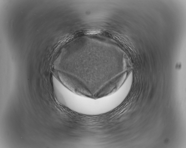 X0000098181441200805081013