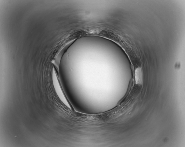 X0000098181443200805081013