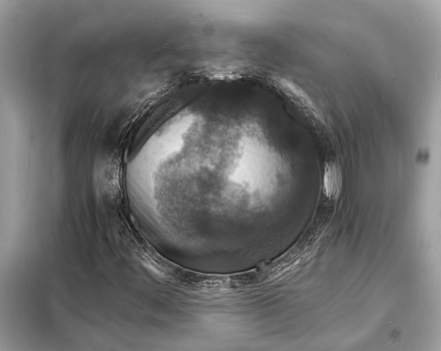 X0000098181444200805081013