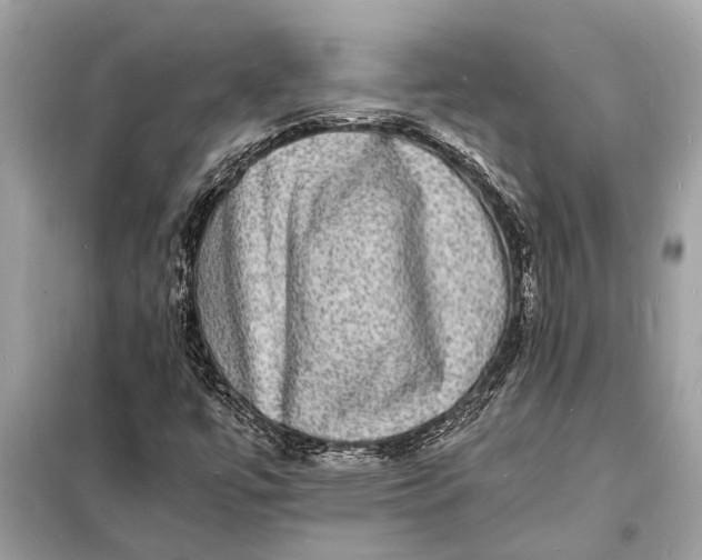 X0000098181447200805081013