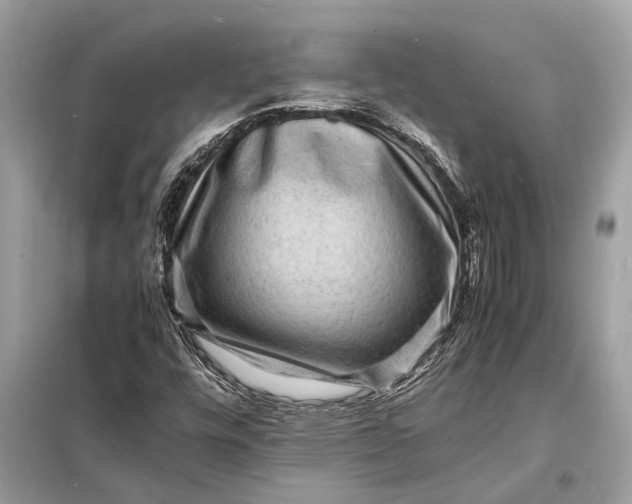 X0000098181448200805081013