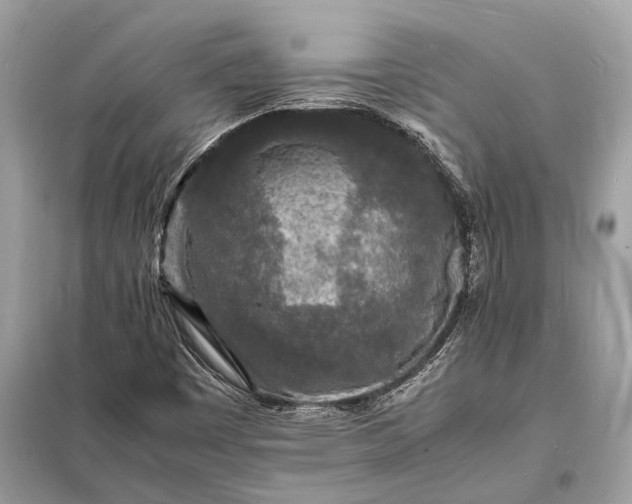 X0000098181449200805081013