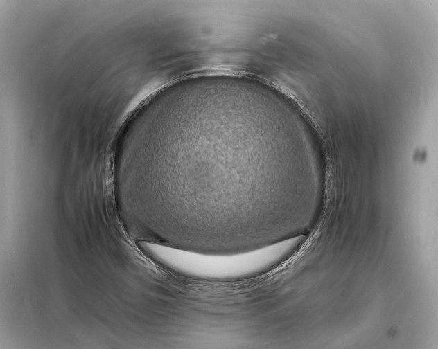 X0000098181450200805081013