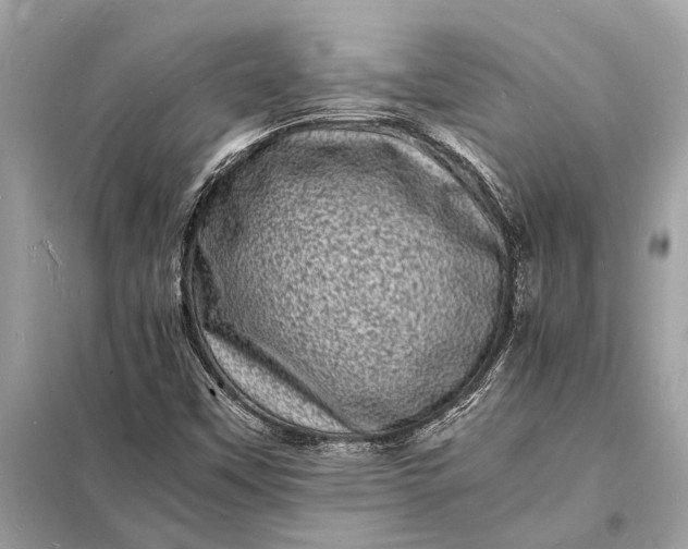 X0000098181451200805081013