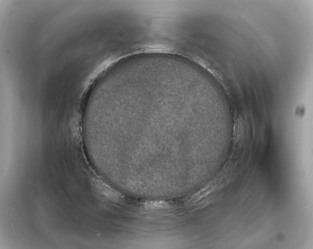 X0000098181454200805081013