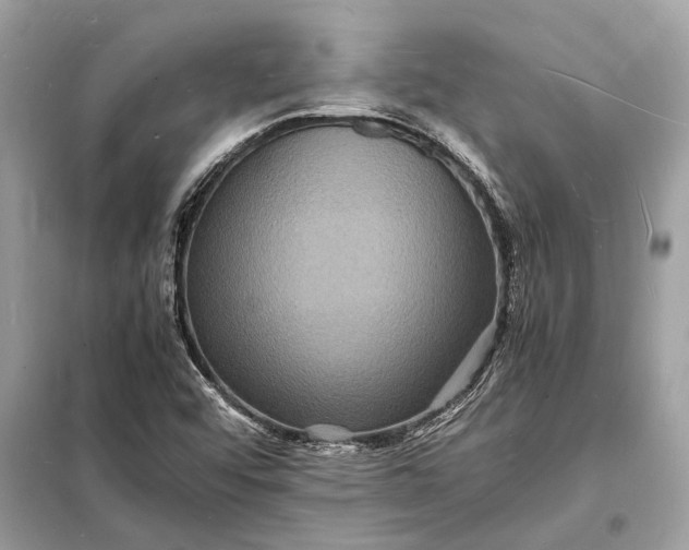 X0000098181456200805081013