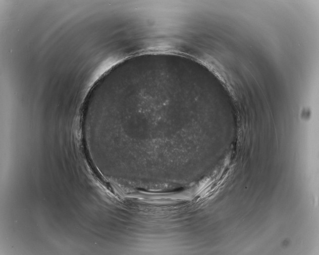 X0000098181458200805081013