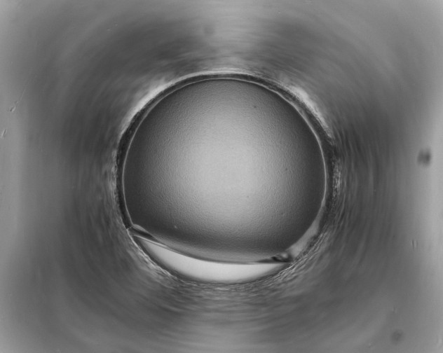 X0000098181460200805081013