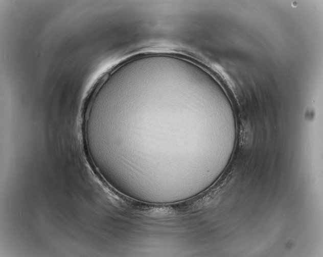 X0000098181464200805081013