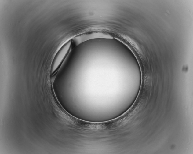 X0000098181465200805081013