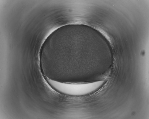 X0000098181468200805081013