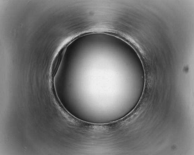 X0000098181469200805081013