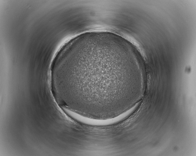 X0000098181472200805081013