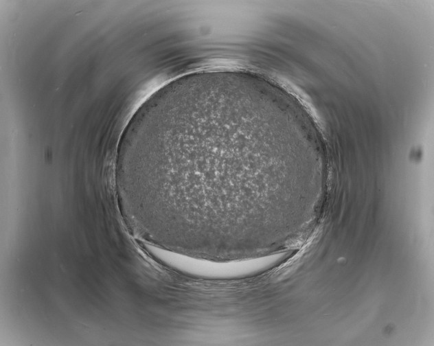 X0000098181473200805081013