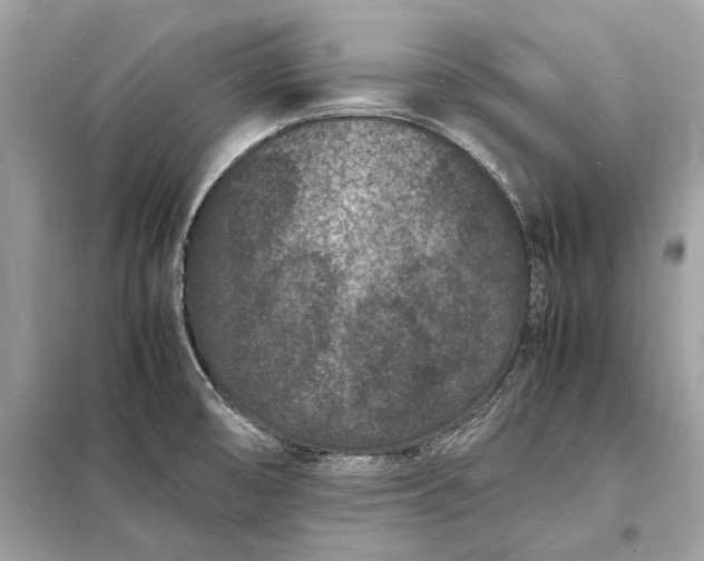 X0000098181474200805081013