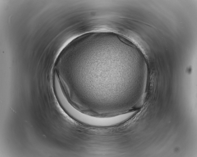 X0000098181476200805081013