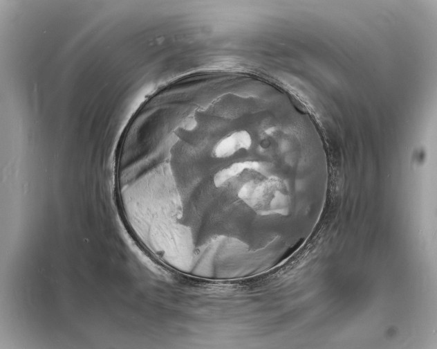 X0000098181479200805081013