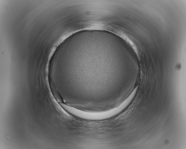 X0000098181480200805081013