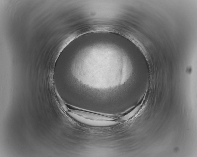 X0000098181481200805081013