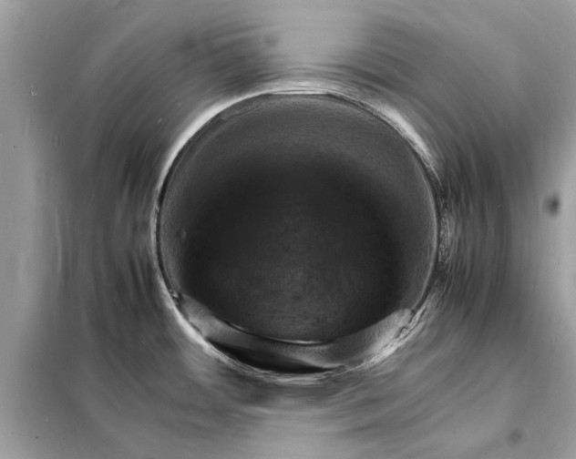 X0000098181484200805081013