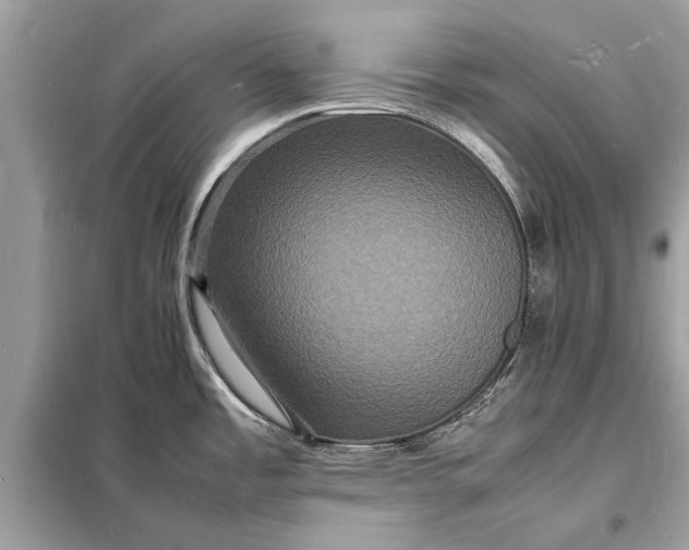 X0000098181485200805081013