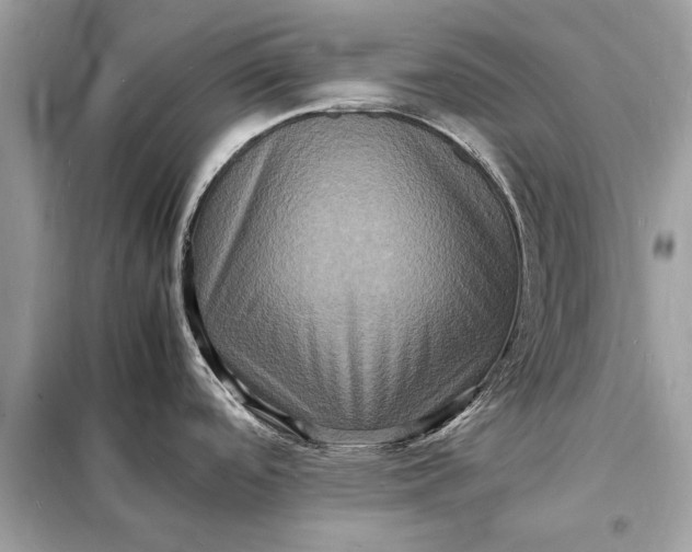 X0000098181488200805081013